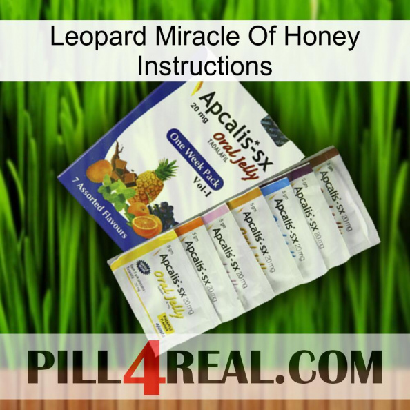 Leopard Miracle Of Honey Instructions 11.jpg